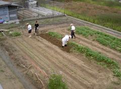 ������Ȫ�ǿ�����ʤ������󤸤礦�ۤ��ˤΥڡ����Ǥ���