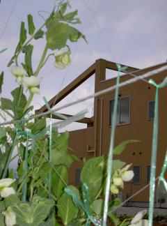 ����ɤ��ޤ�β֡���������ɤ��ޤ�ΤϤ�